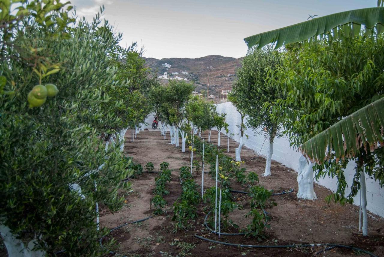 Appartamento Perivoli 4-Chora Agkidia Esterno foto