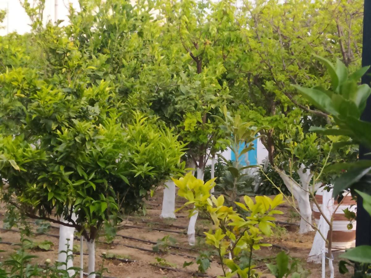 Appartamento Perivoli 4-Chora Agkidia Esterno foto